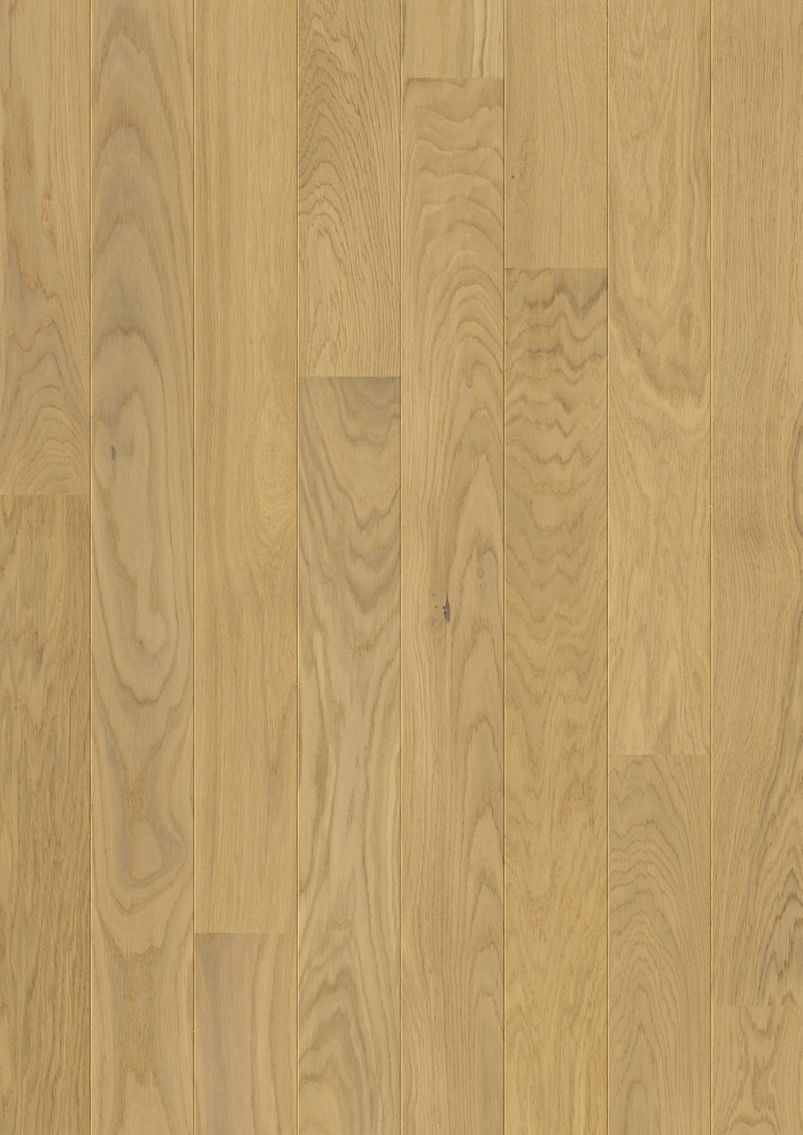 Lamine Parke Pergo Falster Light Pure Oak